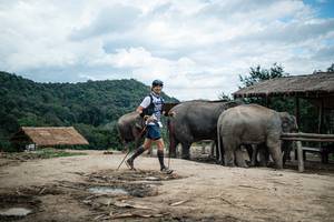 BIB: 
                            <button type="button" onclick="openModal(22424277)" class="btn btn-primary btn-sm float-right btn-popup" data-toggle="modal" data-target=".modal-high-quality">
                        <i class="fas fa-shopping-cart"></i> Add to Cart
                    </button>
                                            <button type="button" onclick="isThisMe(22424277, true)" class="btn btn-success btn-sm float-right btn-popup btn-isme hidden" data-toggle="tooltip" data-placement="bottom" title="นี่คือรูปของคุณใช่ไหม คลิกที่นี่เพื่อเอาเข้าอัลบั้ม">
                        <i class="fas fa-plus"></i> Add to album
                    </button>
                    <button type="button" onclick="isThisMe(22424277, false)" class="btn btn-warning btn-sm float-right btn-popup btn-isnotme hidden">
                        <i class="fas fa-ban"></i> Remove from album
                    </button>